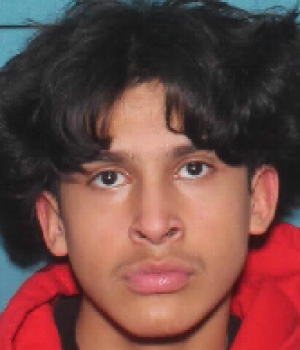Freddy Alexander Guerra