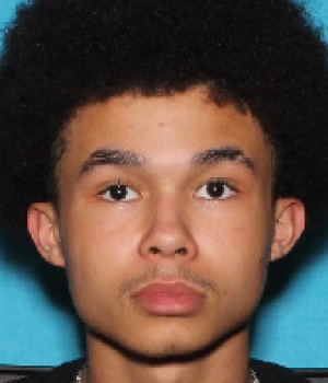 Dominic Robert Douglas Hervey