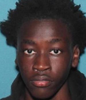 Francis Kat Magik Manier