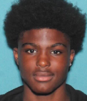 Jamarion Zion Williams